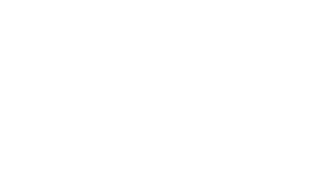 maxBrain